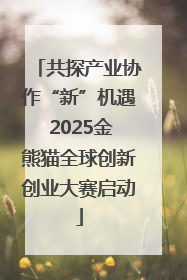 共探产业协作“新”机遇 2025金熊猫全球创新创业大赛启动