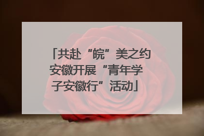 共赴“皖”美之约 安徽开展“青年学子安徽行”活动