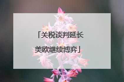关税谈判延长 美欧继续博弈
