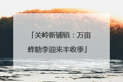 关岭新铺镇：万亩蜂糖李迎来丰收季