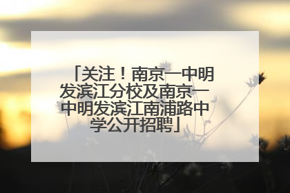 关注！南京一中明发滨江分校及南京一中明发滨江南浦路中学公开招聘