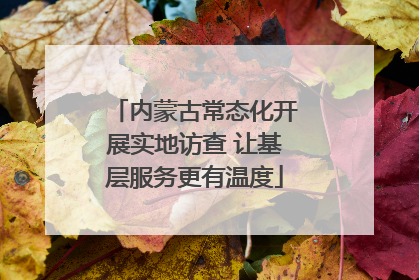 内蒙古常态化开展实地访查 让基层服务更有温度