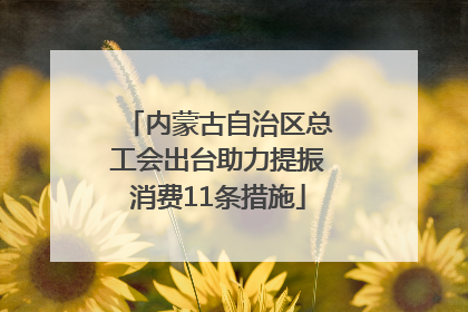内蒙古自治区总工会出台助力提振消费11条措施