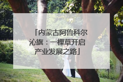 内蒙古阿鲁科尔沁旗：一棵草开启产业发展之路