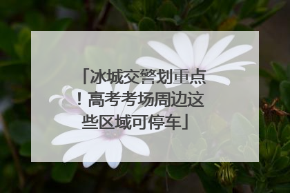 冰城交警划重点！高考考场周边这些区域可停车