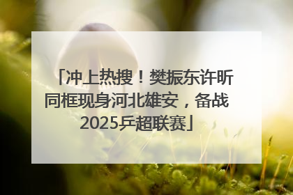 冲上热搜！樊振东许昕同框现身河北雄安，备战2025乒超联赛