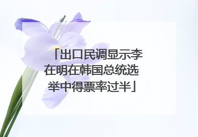 出口民调显示李在明在韩国总统选举中得票率过半