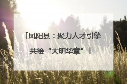 凤阳县：聚力人才引擎 共绘“大明华章”