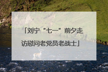 刘宁“七一”前夕走访慰问老党员老战士