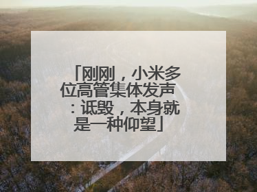 刚刚，小米多位高管集体发声：诋毁，本身就是一种仰望