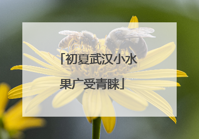 初夏武汉小水果广受青睐