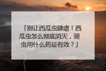 别让西瓜虫肆虐！西瓜虫怎么彻底消灭，潮虫用什么药最有效？