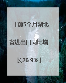 前5个月湖北省进出口同比增长26.9%