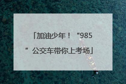 加油少年！“985”公交车带你上考场