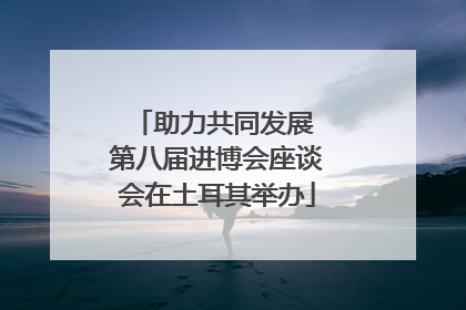 助力共同发展 第八届进博会座谈会在土耳其举办