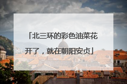北三环的彩色油菜花开了，就在朝阳安贞