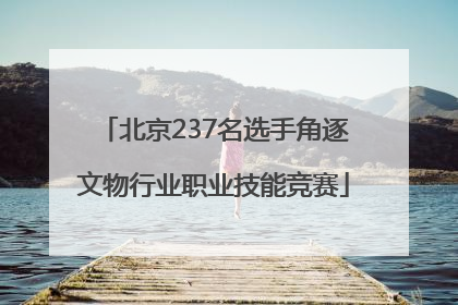 北京237名选手角逐文物行业职业技能竞赛