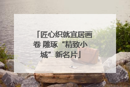 匠心织就宜居画卷 雕琢“精致小城”新名片