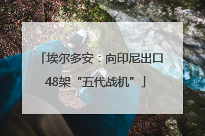 埃尔多安：向印尼出口48架“五代战机”