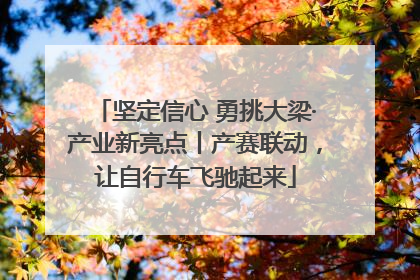坚定信心 勇挑大梁·产业新亮点丨产赛联动，让自行车飞驰起来