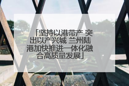 坚持以港带产 突出以产兴城 兰州陆港加快推进一体化融合高质量发展