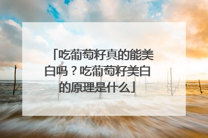 吃葡萄籽真的能美白吗？吃葡萄籽美白的原理是什么