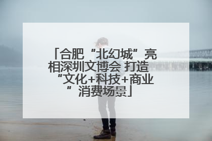 合肥“北幻城”亮相深圳文博会 打造“文化+科技+商业”消费场景