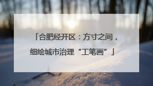 合肥经开区：方寸之间，细绘城市治理“工笔画”