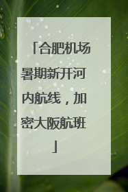 合肥机场暑期新开河内航线，加密大阪航班