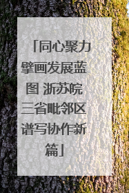 同心聚力擘画发展蓝图 浙苏皖三省毗邻区谱写协作新篇