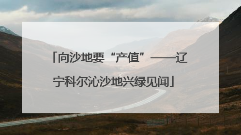 向沙地要“产值”——辽宁科尔沁沙地兴绿见闻