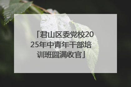 君山区委党校2025年中青年干部培训班圆满收官