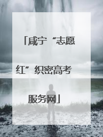 咸宁“志愿红”织密高考服务网