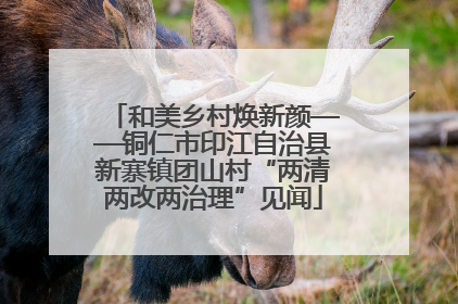 和美乡村焕新颜——铜仁市印江自治县新寨镇团山村“两清两改两治理”见闻