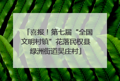 喜报！第七届“全国文明村镇”花落民权县绿洲街道吴庄村