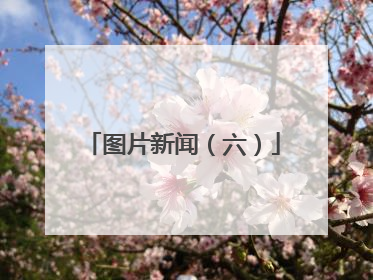 图片新闻（六）
