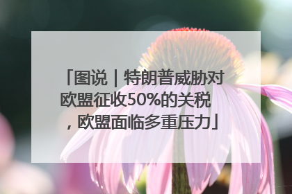 图说｜特朗普威胁对欧盟征收50%的关税，欧盟面临多重压力