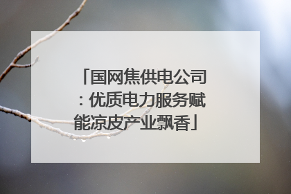 国网焦供电公司：优质电力服务赋能凉皮产业飘香