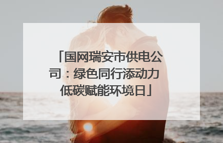 国网瑞安市供电公司：绿色同行添动力 低碳赋能环境日