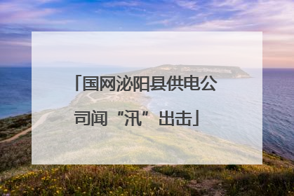国网泌阳县供电公司闻“汛”出击
