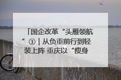 国企改革“头雁领航”③｜从负重前行到轻装上阵 重庆以“瘦身”谋“健体”