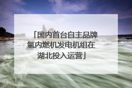 国内首台自主品牌氢内燃机发电机组在湖北投入运营