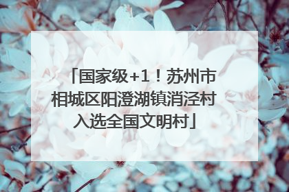国家级+1！苏州市相城区阳澄湖镇消泾村入选全国文明村