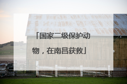 国家二级保护动物，在南昌获救