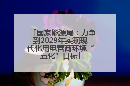 国家能源局：力争到2029年实现现代化用电营商环境“五化”目标