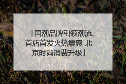 国潮品牌引领潮流、首店首发火热集聚 北京时尚消费升级