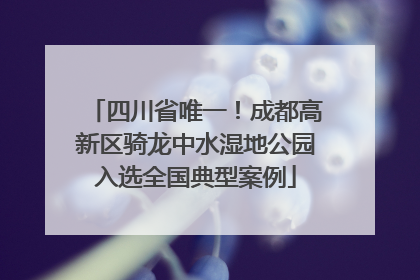 四川省唯一！成都高新区骑龙中水湿地公园入选全国典型案例