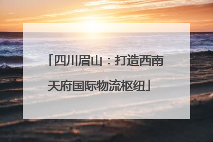 四川眉山：打造西南天府国际物流枢纽
