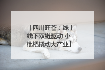 四川旺苍：线上线下双链驱动 小枇杷撬动大产业