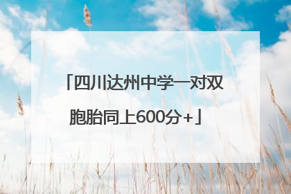 四川达州中学一对双胞胎同上600分+